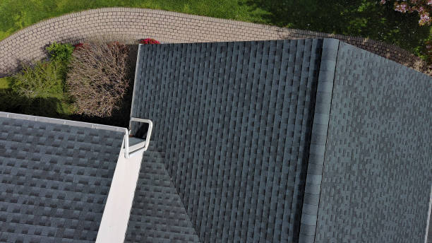 Best Roof Moss and Algae Removal  in Daniel, UT