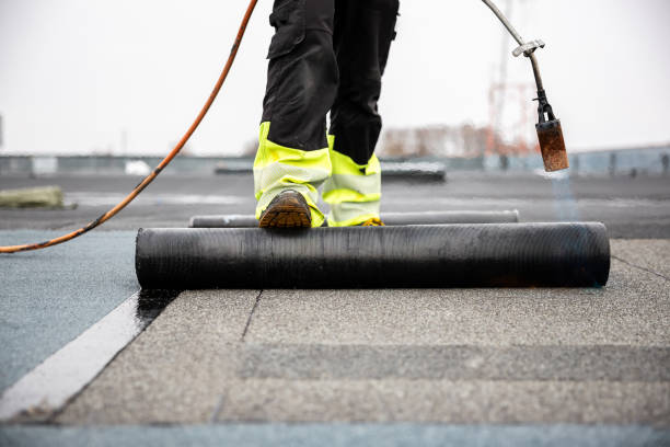 Best Roof Maintenance and Cleaning  in Daniel, UT
